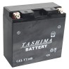 Batterie plomb étanche 12V gel/agm, 13A. L: 150, l: 70, H:145mm, + à gauche pour motos.