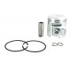 Piston complet de remplacement PARTNER pour notre cylindrée 5709377.