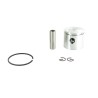 Piston complet de remplacement PARTNER pour notre cylindrée 5709380.