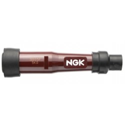 Antiparasite NGK droit