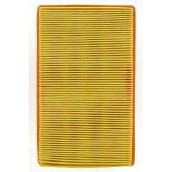 Filtre à air LOMBARDINI